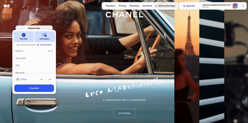 Chanel Accordion