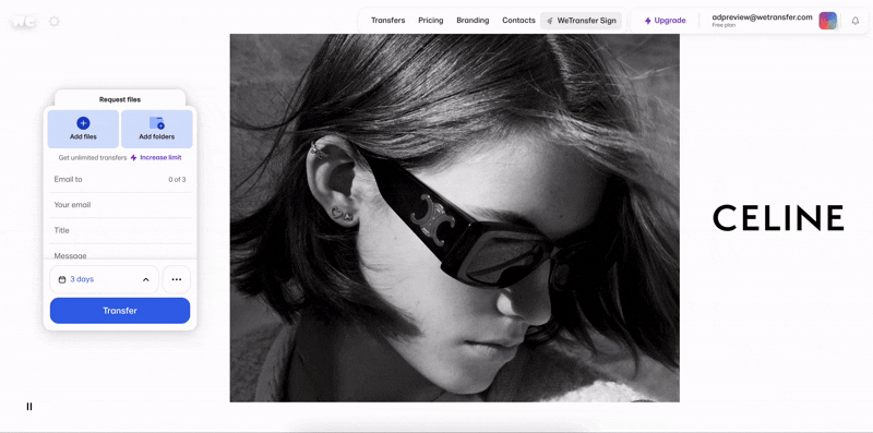 Celine Carousel