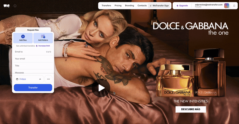 D&G The One CTP