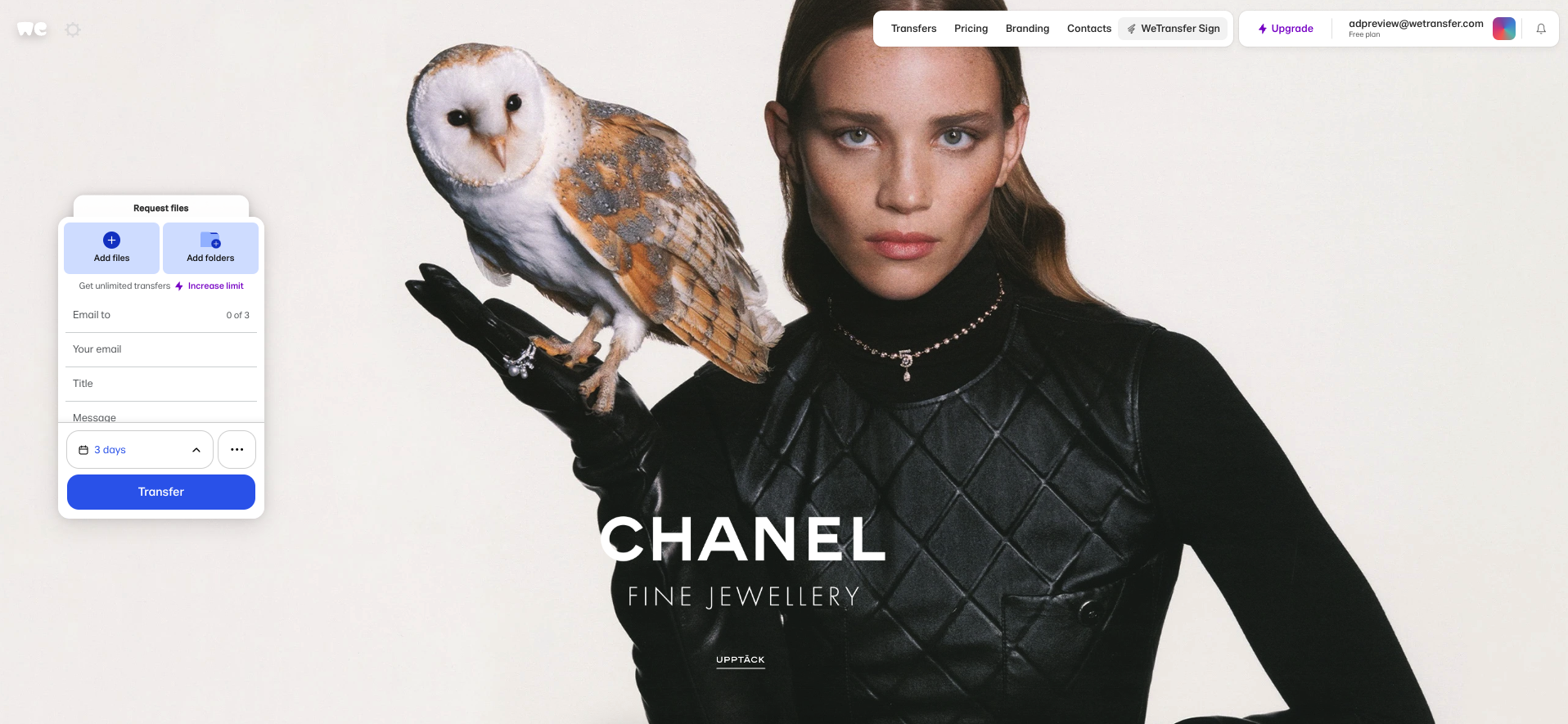 Chanel Coco Crush Static